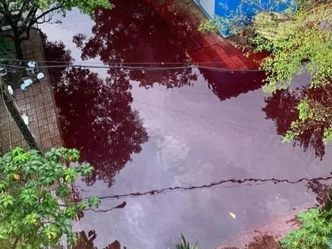 Không thể lấy được mẫu xét nghiệm nước có màu đỏ sẫm ở 2 tuyến đường tại TP HCM