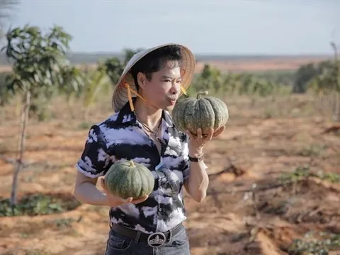 Cán bộ bị kiểm điểm vì thông tin ca sĩ Ngọc Sơn mua 50 ha đất ở Bình Thuận