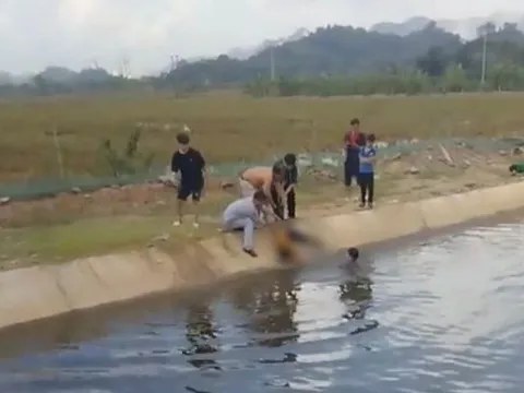 Thanh Hóa: Lao xuống mương cứu bạn nữ, học sinh lớp 5 đuối nước thương tâm