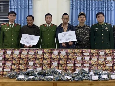 Ngụy trang 1,5 tạ pháo trên xe bán tải chở từ Lào về Việt Nam tiêu thụ