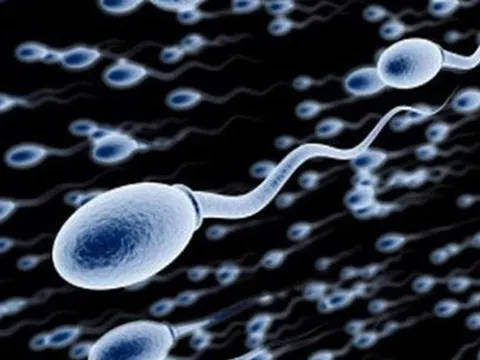 Nam giới không có tinh trùng vẫn có khả năng có con