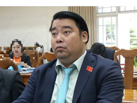 Ông Nguyễn Viết Dũng xin rút khỏi Ban Kinh tế và Ngân sách HĐND tỉnh Quảng Nam