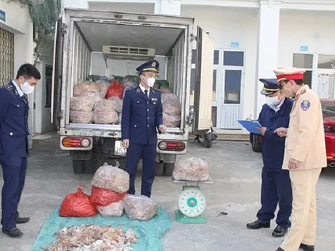 Thanh Hoá: Bắt giữ 1,4 tấn bì lợn không có nguồn gốc, xuất xứ