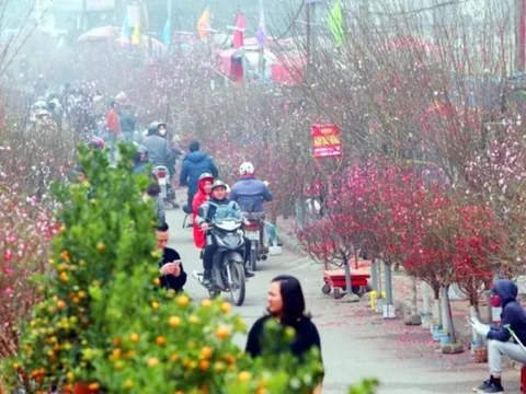 Tết Dương lịch miền Bắc rét đậm, miền Nam thời tiết se lạnh