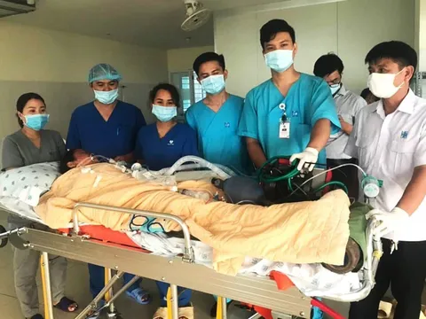 Miễn phí điều trị cho nạn nhân bị cây xanh đổ đè ở TP Buôn Ma Thuột