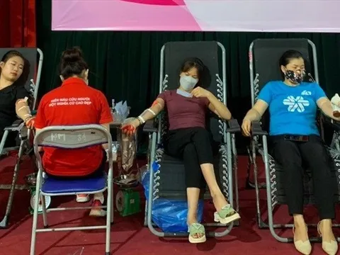 Hà Nội: 4 ngày thu được 924 đơn vị máu từ hoạt động hiến máu tình nguyện