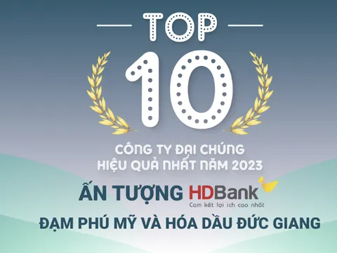 TOP 10 công ty đại chúng hiệu quả nhất năm 2023: Ấn tượng HDBank, Đạm Phú Mỹ và Hóa dầu Đức Giang