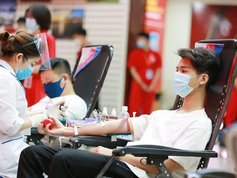 Ngày thế giới tôn vinh những người hiến máu