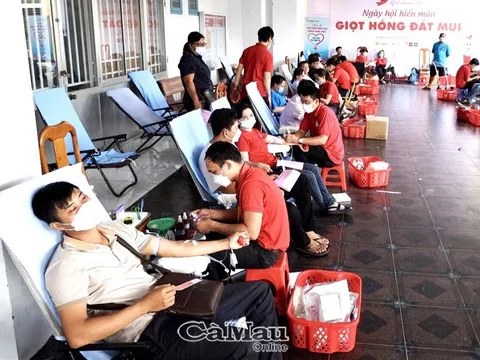 Tiếp nhận hơn 500 đơn vị máu tại Ngày hội hiến máu "Giọt hồng Đất Mũi"