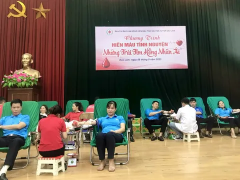 Những trái tim hồng nhân ái