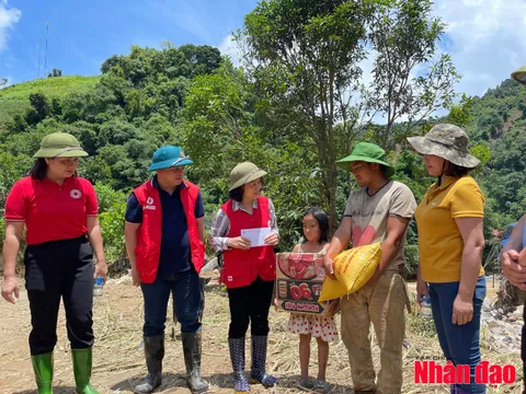 Khẳng định vai trò tích cực của Hội Chữ thập đỏ Việt Nam trong việc giải quyết những vấn đề nhân đạo mang tính toàn cầu