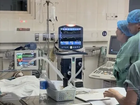 Em gái hiến tạng anh trai cứu 5 người xa lạ