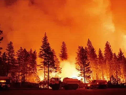 Hơn 250 người thiệt mạng do các vụ cháy rừng trong năm 2023