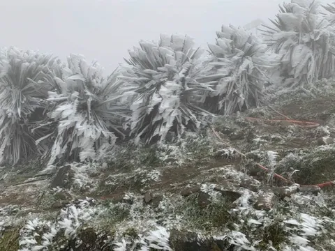 Bắc Bộ rét đậm, rét hại kéo dài