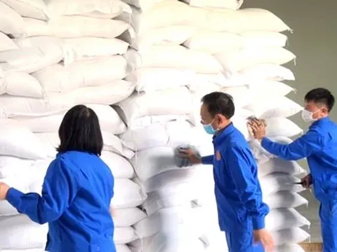 Triển khai cấp phát hơn 1.444 tấn gạo dịp Tết Nguyên đán, bảo đảm không người dân nào bị đói, không có tết