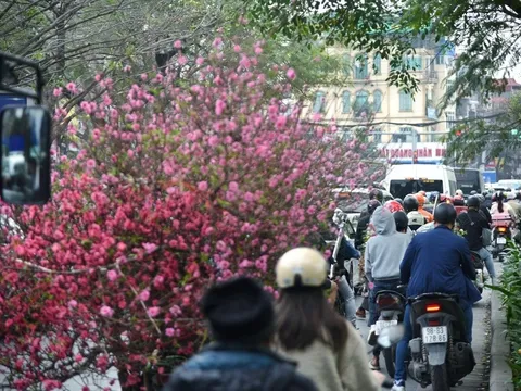 Thời tiết ngày 30 Tết: Bắc Bộ trời rét đậm, Trung Bộ có nơi mưa to