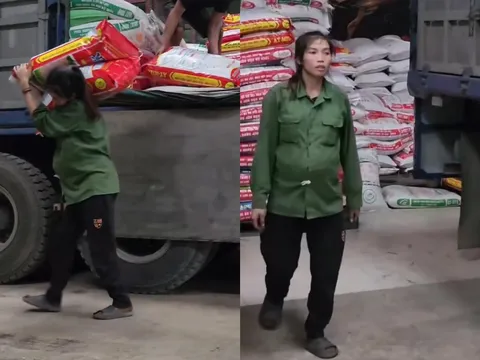 Xúc động cảnh mẹ bầu 8 tháng vẫn đi bốc hàng, quyết không nhận tiền từ thiện