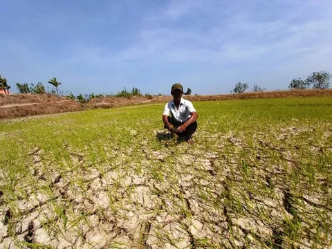 Thủ tướng chỉ thị tăng cường phòng, chống nắng nóng, hạn hán, thiếu nước, xâm nhập mặn