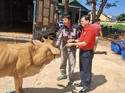 Hội Chữ thập đỏ Đà Lạt phấn đấu trợ giúp ít nhất 1.200 lượt người trong Tháng Nhân đạo
