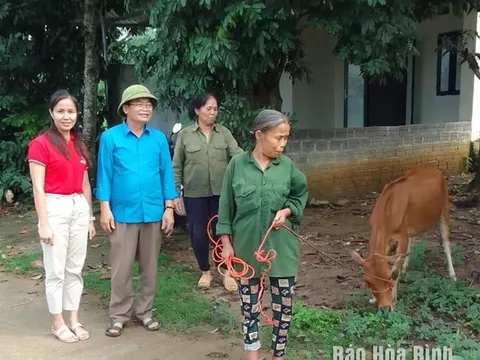 Mô hình “Ngân hàng bò” tạo sinh kế cho hộ nghèo