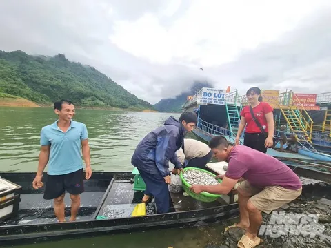 Mưu sinh trên lòng hồ hùng vĩ: Cá, tôm 'nuôi' ước mơ học chữ