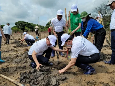 Mệnh lệnh khẩn cấp để quyết tâm hành động vì môi trường