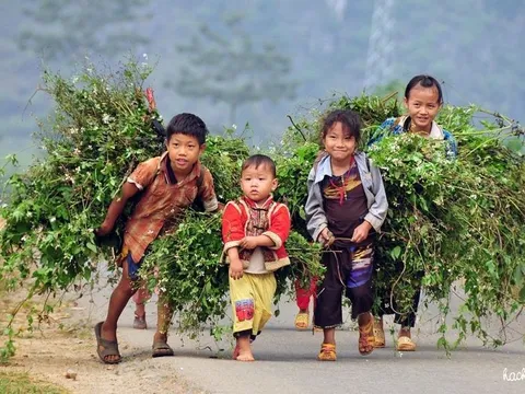 Giải pháp giảm suy dinh dưỡng cho trẻ em dân tộc thiểu số