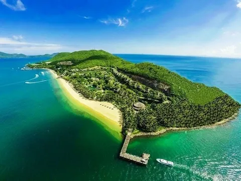 Báo động San hô chết trắng tại khu bảo tồn vịnh Nha Trang