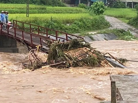 Lào Cai thiệt hại trên 20 tỷ do mưa lũ