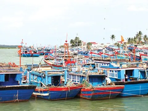 Giá xăng cao - ngư dân không dám vươn khơi