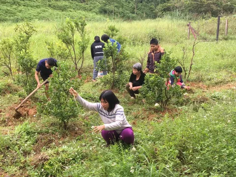 “Ngôi nhà hạnh phúc” của những nạn nhân chất độc da cam