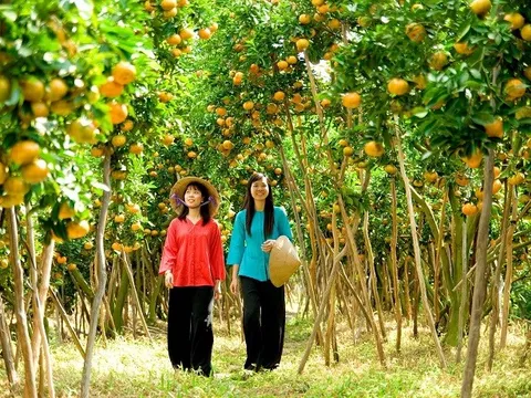 Thu hút khách du lịch nông thôn cần thay đổi tư duy của người làm nông nghiệp