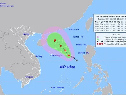Chủ động ứng phó áp thấp nhiệt đới có khả năng mạnh lên thành bão