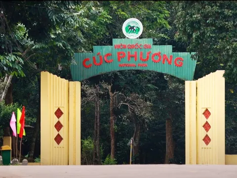 Tái thả số lượng lớn động vật hoang dã vào rừng nguyên sinh Cúc Phương