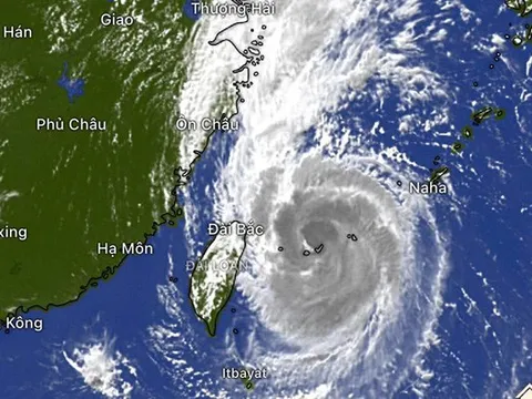 Trung Quốc kích hoạt ứng phó khẩn cấp cấp độ 4 đối với bão Muifa