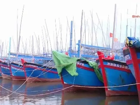 Bình Định: Di dời hơn 1.000 tàu cá để phát triển du lịch