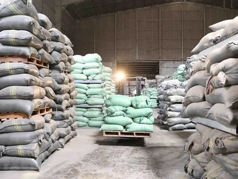 Thanh Hóa: Khởi tố cựu trưởng thôn “ăn chặn” gần 5 tấn gạo của dân