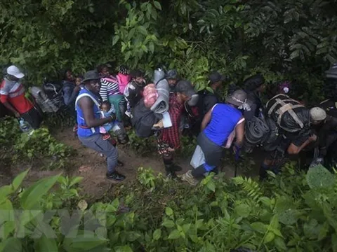 Số người di cư qua rừng rậm Darien để đến Mỹ liên tục tăng cao