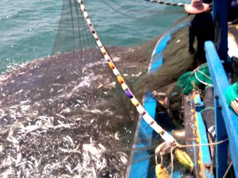 Quảng Ninh xử lý nghiêm nhiều phương tiện khai thác hải sản bằng ngư cụ bị cấm