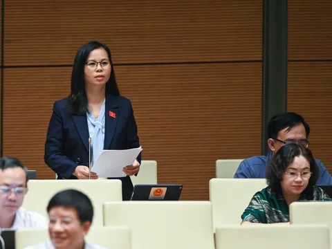 Vì sao liên tiếp xảy ra các "thảm án" giết người nghiêm trọng?