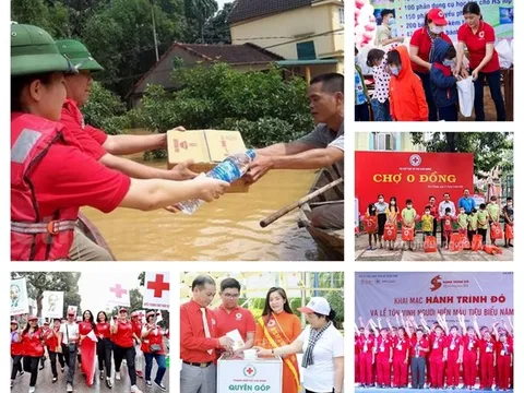 Rà soát hoàn thiện chính sách đối với hoạt động Chữ thập đỏ