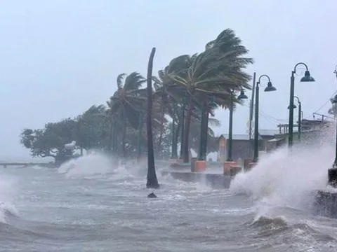 Khẩn trương ứng phó áp thấp nhiệt đới chuẩn bị vào Biển Đông