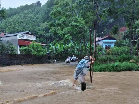 Tại Việt Nam thiệt hại do thiên tai từ đầu năm đến nay ước tính lên tới 2.400 tỷ đồng