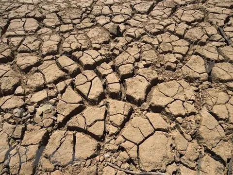 Những con số biết nói của Liên Hợp quốc về tình trạng ấm lên toàn cầu