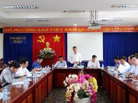 Kiểm tra công tác phòng, chống thiên tai năm 2022