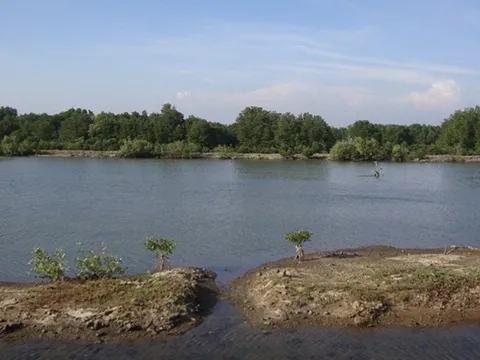 Bà Rịa - Vũng Tàu tập trung ứng phó với biến đổi khí hậu