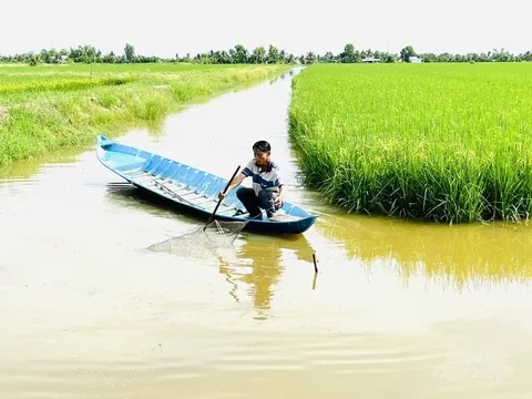 Tăng cường khả năng chống chịu với khí hậu tại khu vực ven biển vùng ĐBSCL