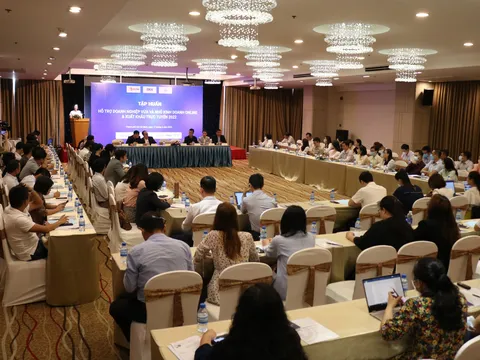 Hỗ trợ doanh nghiệp vừa và nhỏ kinh doanh online và xuất khẩu trực tuyến