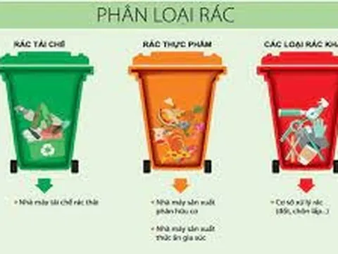 Từ 25/8, bị phạt tiền nếu không phân loại rác