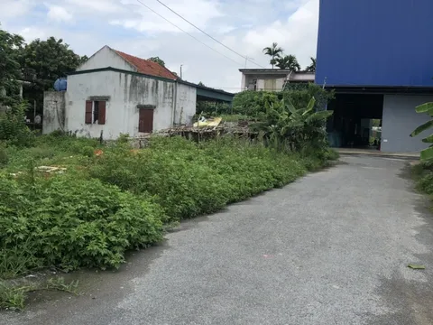 Kim Bảng (Hà Nam): Người dân kêu cứu vì nhà máy sản xuất lông vũ gây ô nhiễm